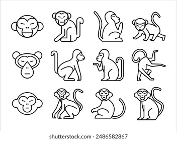 Monkey Icon Illustration Set Collection