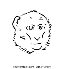 Monkey icon. Jungle macaque outline badge. Zoo animal. Vector illustration.