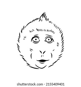 Monkey icon. Jungle macaque outline badge. Zoo animal. Vector illustration.