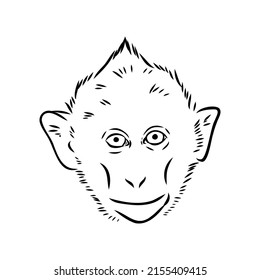 Monkey icon. Jungle macaque outline badge. Zoo animal. Vector illustration.