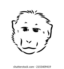 Monkey icon. Jungle macaque outline badge. Zoo animal. Vector illustration.