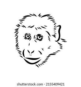 969 Monkey stroke icon Images, Stock Photos & Vectors | Shutterstock