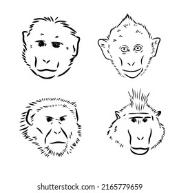 Monkey icon. Jungle macaque outline badge. Zoo animal. Vector illustration.