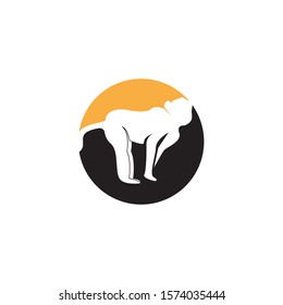Monkey icon logo design vector illustration