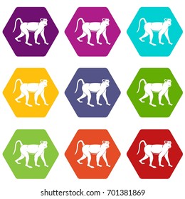 Monkey icon set many color hexahedron isolated on white vector illustration