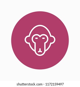 monkey icon vector