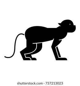 monkey  icon, vector illustration, sign on isolated background
