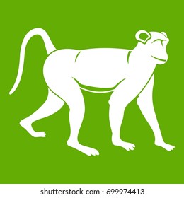 Monkey icon white isolated on green background. Vector illustration