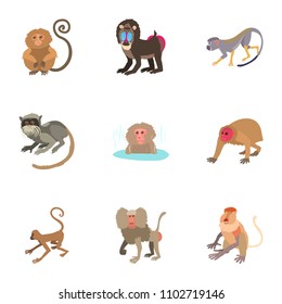 Monkey icons set. Cartoon set of 9 monkey vector icons for web isolated on white background