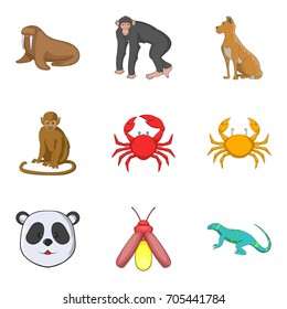 Monkey icons set. Cartoon set of 9 monkey vector icons for web isolated on white background