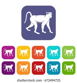 Monkey icons set vector illustration in flat style In colors red, blue, green and other