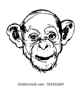 Monkey illustration hand drawn vector 