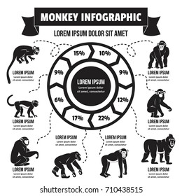 Monkey infographic banner concept. Simple illustration of monkey infographic vector poster concept for web