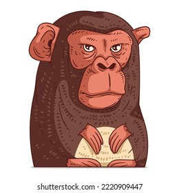 A Monkey, isolated vector illustration. Cute cartoon picture of a chimpanzee. Drawn animal sticker. A chimp. An ape on white background. A marmoset. A primate. An African animal