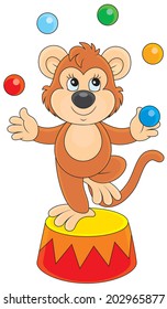 monkey juggler with color balls in circus