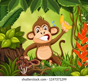 Monkey in the jungle