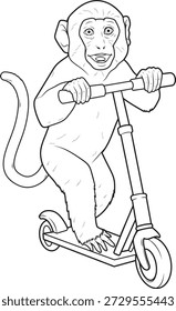 Monkey Kick Scooter Animal Vector Graphic Art Illustration