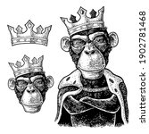 Monkey king with paws crossed dressed in the mantle and crow. Vintage black engraving illustration for poster. Isolated on white background.