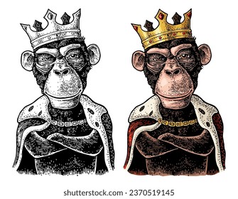 Monkey king with paws crossed dressed in the mantle and crown. Vintage color and black engraving illustration for poster. Isolated on white background. Hand drawn design element for label and poster