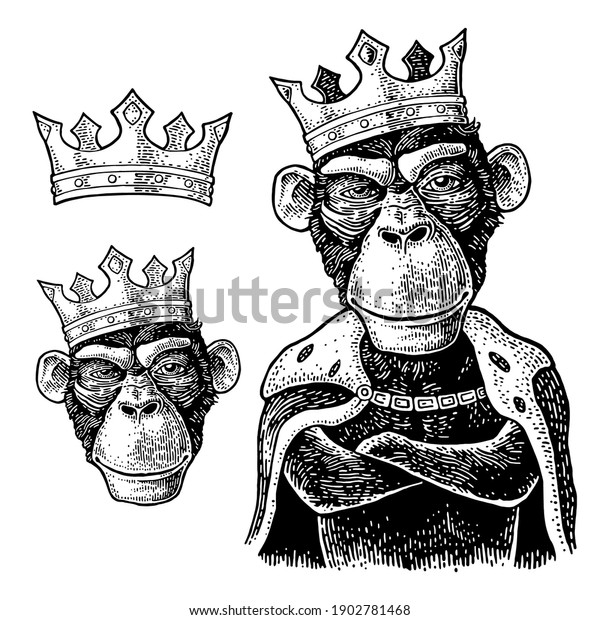 Monkey king with paws crossed dressed in the\
mantle and crow. Vintage black engraving illustration for poster.\
Isolated on white\
background.