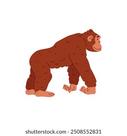 O macaco é grande e maduro. O animal está de perfil. Orangotango. Estágio de evolução do macaco ao homem. A teoria de Darwin. História. Ancestral. Ilustração vetorial isolada sobre fundo branco.