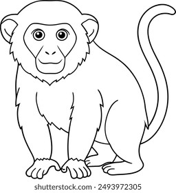 Monkey Line Art Vektorgrafik Datei