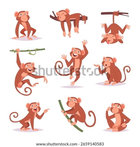 Monkey. Little funny animals wild monkey playing exact vector cartoon template