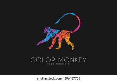 Monkey logo. Color monkey logo. Creative monkey logotype.