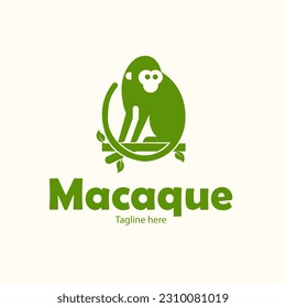 Monkey logo design vector template