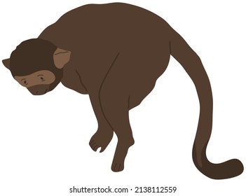 Monkey with long tail standing on four legs. Cute species of wild animal leaning on forelimbs. Jungle wildlife representative, dark mammal. Monkey living in tropical climate vector illustration