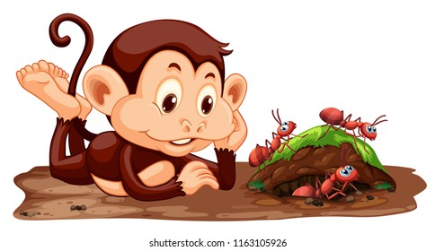 Un mono mirando la ilustración de las hormigas