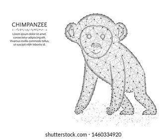 A monkey low poly design, African animal abstract graphics, primate polygonal wireframe vector illustration made from points and lines on a white background