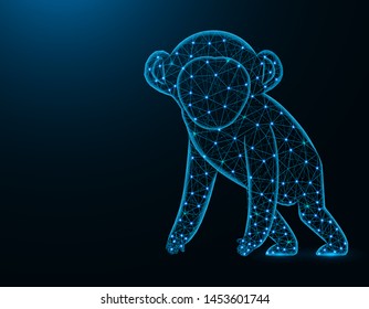 A monkey low poly model, African animal abstract graphics, primate polygonal wireframe vector illustration on dark blue background