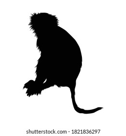 Monkey (Macaca Fascicularis) On a Side View Silhouette Found In Map Of Africa,Asia,Central America,Oceania And South America.