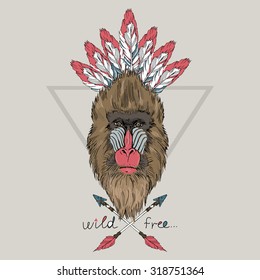monkey Mandrillus Sphinx in war bonnet, native american illustration