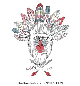 monkey Mandrillus Sphinx in war bonnet, native american illustration
