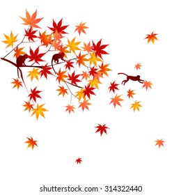 Monkey maple greeting cards