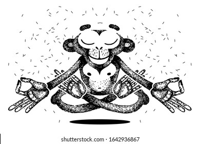 Monkey is meditating. monkey levitates. Monkey sits in a lotus position, meditates and remains calm. Vector hand made illustration. Template for tattoo. Sketch for poster, print or t-shirt.