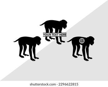 Silución de la ilusión del vector monograma