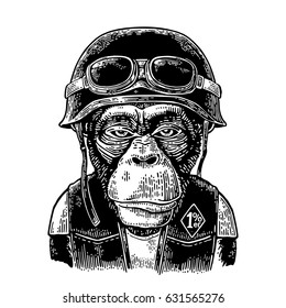 Monkey in the motorcycle helmet and glasses. Hell monkeys and 1% lettering on the waistcoat. Vintage black engraving illustration. Isolated on white background.