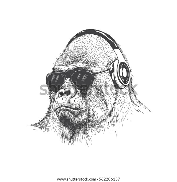 猿の音楽ファン手描きのベクターイラスト サングラスをかけたゴリラ ヘッドフォンで音楽を聴く のベクター画像素材 ロイヤリティフリー