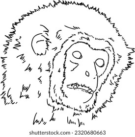 Monkey muzzle wild animal exotic doodle linear cartoon coloring book