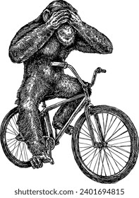 monkey on a bicycle vector illustration rides with eyes closed funny animal print for t-shirt engraving style vector