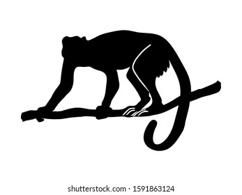 Monkey on the branch black silhouette. Jungle animal vector icon. Rainforest capucin shadow. 