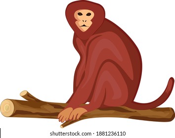 Monkey on a branch ,illustration, vector on white background.