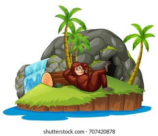 Mono en la ilustración de la isla