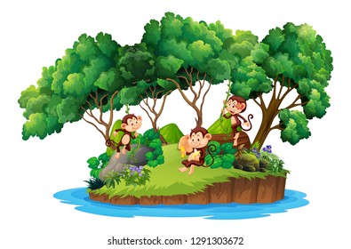 Monkey on isolated island illustration