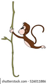 Monkey on the liana