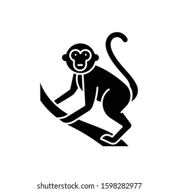 Monkey on liana glyph icon. Tropical country animal, mammal. Exploring Indonesia islands wildlife. Primate climbing. Balinese fauna. Silhouette symbol. Negative space. Vector isolated illustration