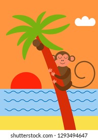 Monkey on a palm tree